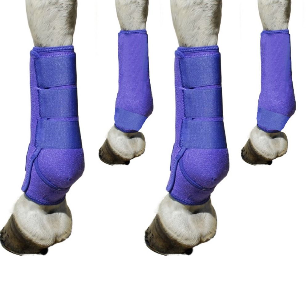 Brushing Boot Horse - Conjunto de 4 Botas Esportivas Coloridas