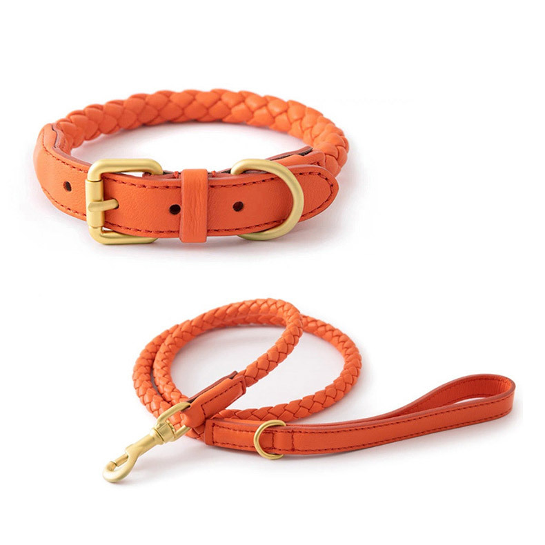 Headcollar Rope Set - Conjunto de Coleira e Guia Ajustáveis