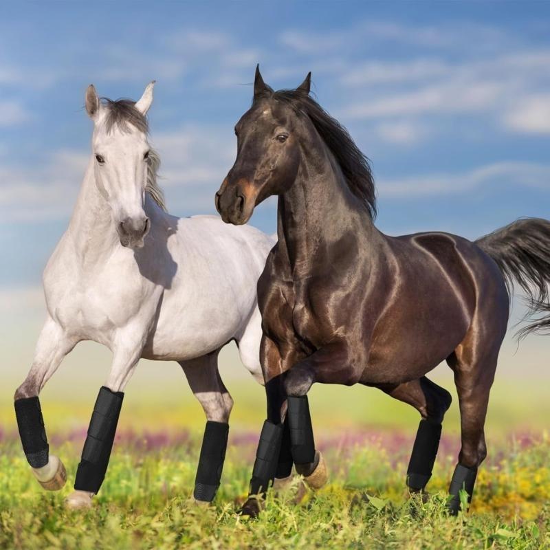 R6FE escovar a bota cavalos ca - Brushing Boot Horse avaliação e preço