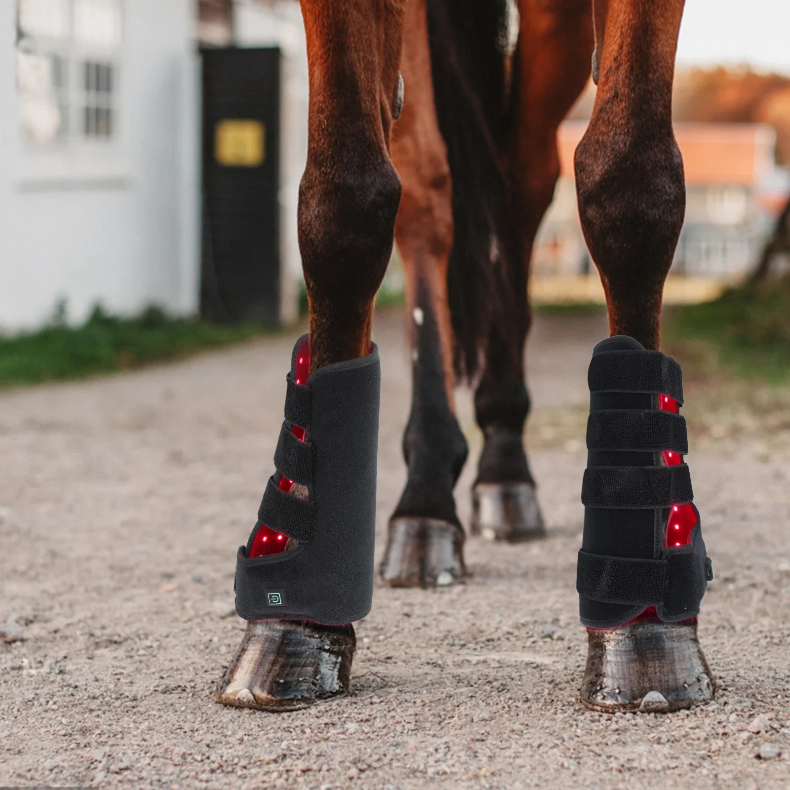 Novas botas de terapia com luz - Brushing Boot Horse avaliação e preço