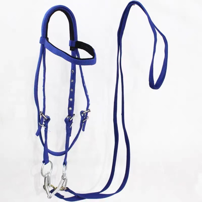 Conjunto de Cabresto e Guia pa - Headcollar Rope Set avaliação e preço