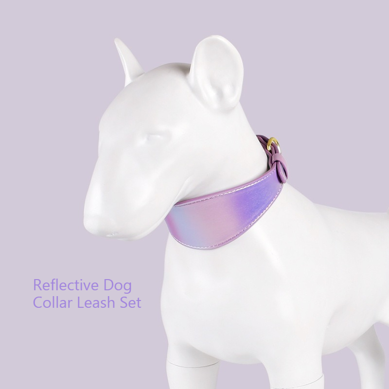 Coleira e Guia Refletiva de Co - Headcollar Rope Set avaliação e preço