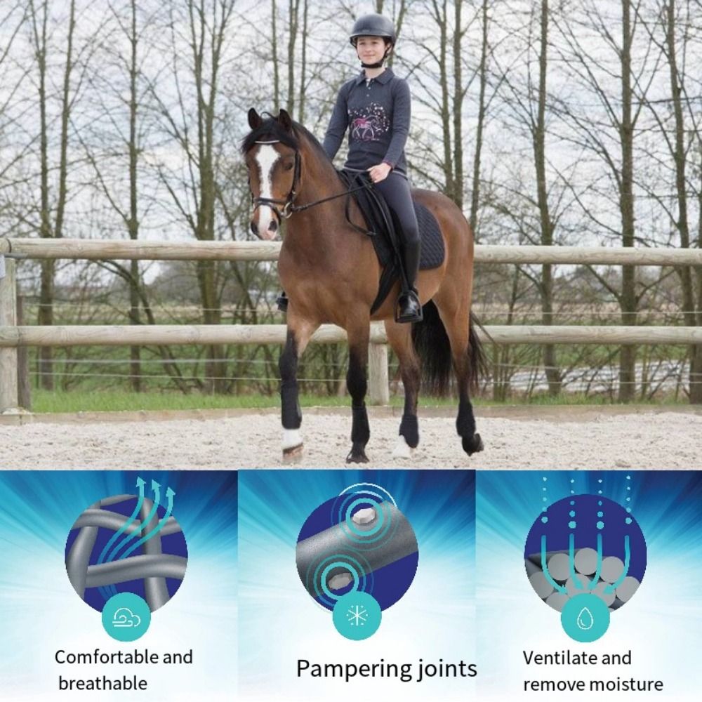 Conjunto de 4 Botas Esportivas - Brushing Boot Horse avaliação e preço