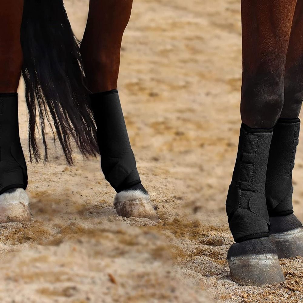 Conjunto de 4 Botas Esportivas - Brushing Boot Horse avaliação e preço