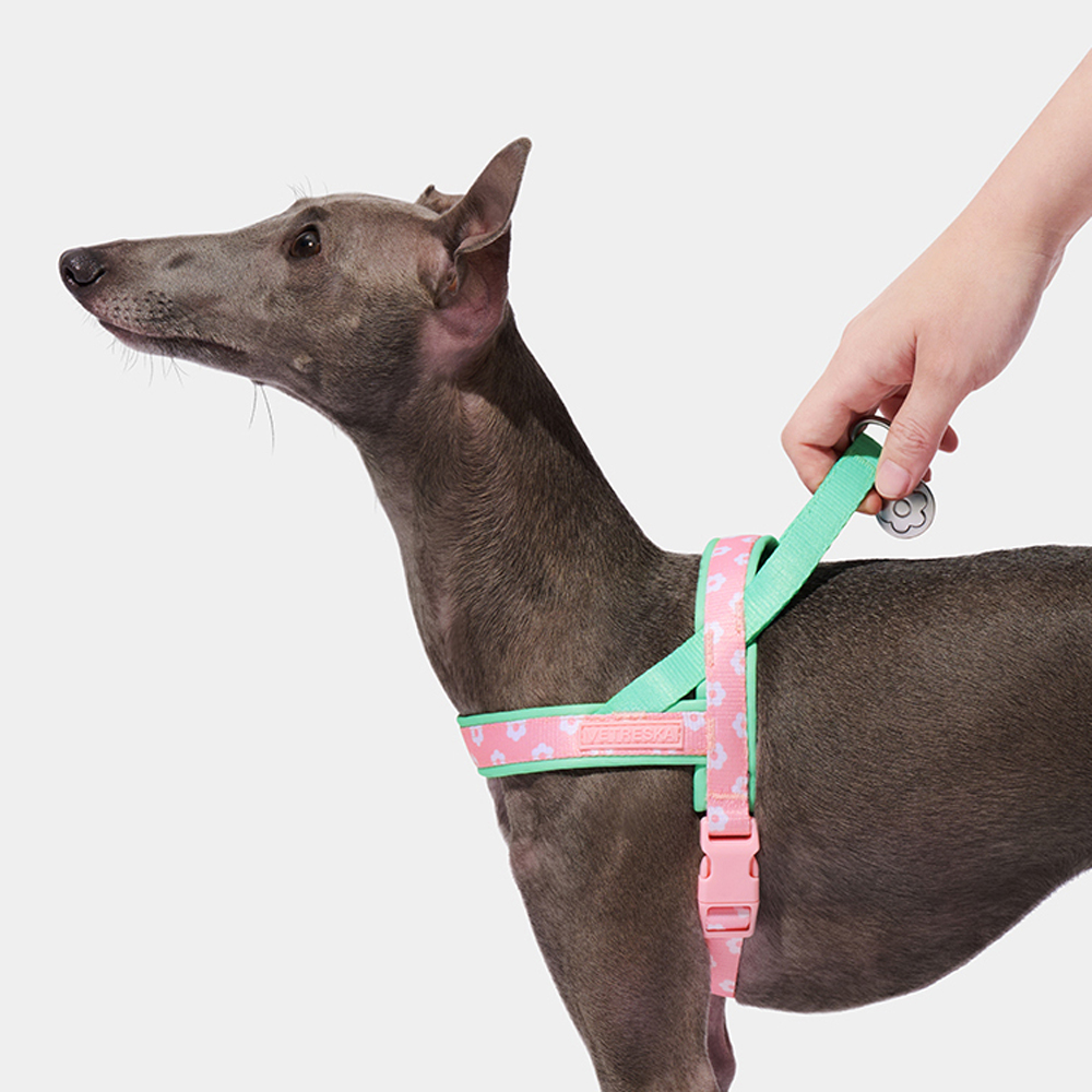Conjunto de Coleira e Guia de  - Headcollar Rope Set avaliação e preço