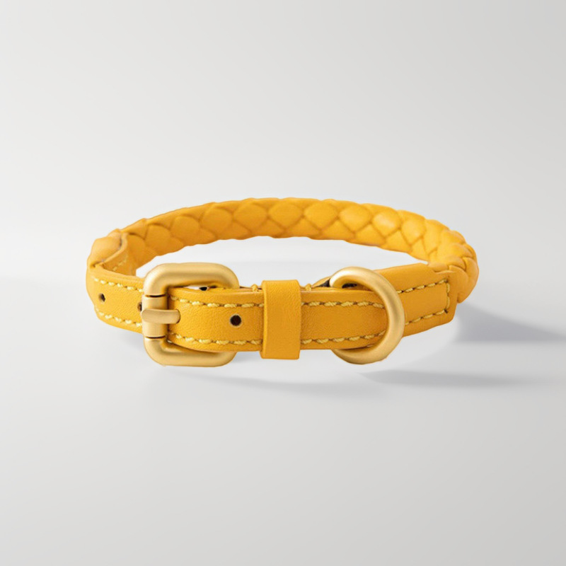 Conjunto de Coleira e Guia Aju - Headcollar Rope Set avaliação e preço