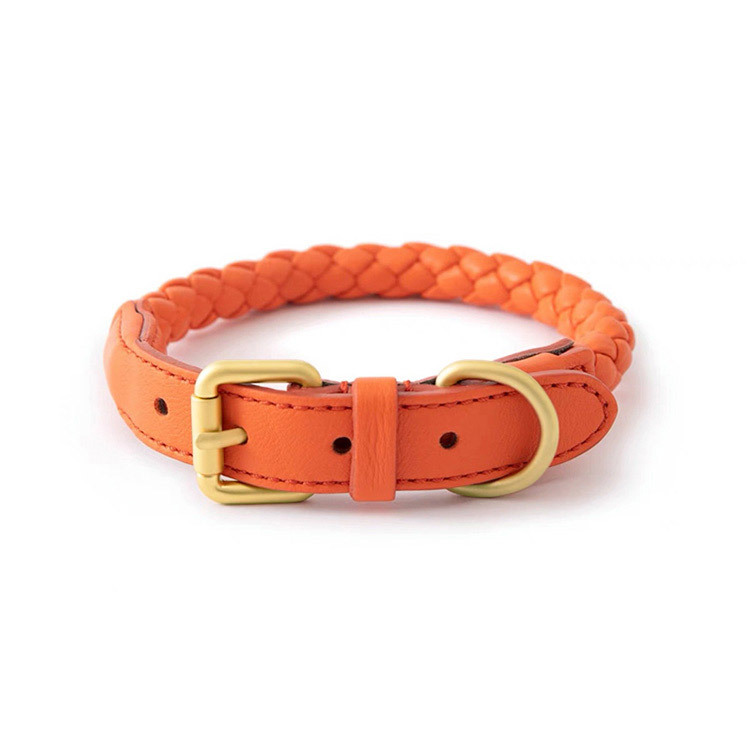 Conjunto de Coleira e Guia Aju - Headcollar Rope Set avaliação e preço